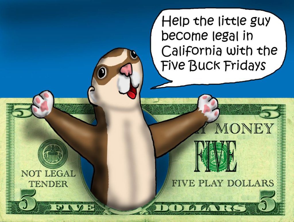 $5 Ferret Friday keeps our efforts growing!