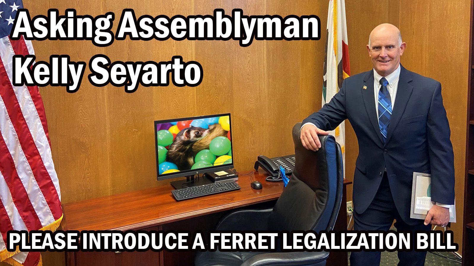Petition asking Assemblyman Kelly Seyarto to introduce a ferret legalization bill