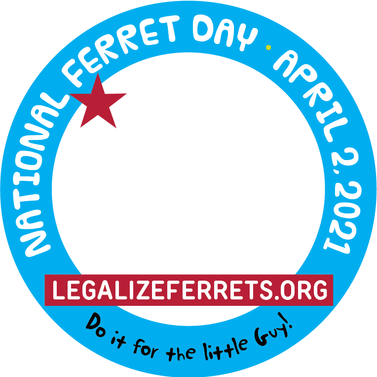 National Ferret Day Frame 7