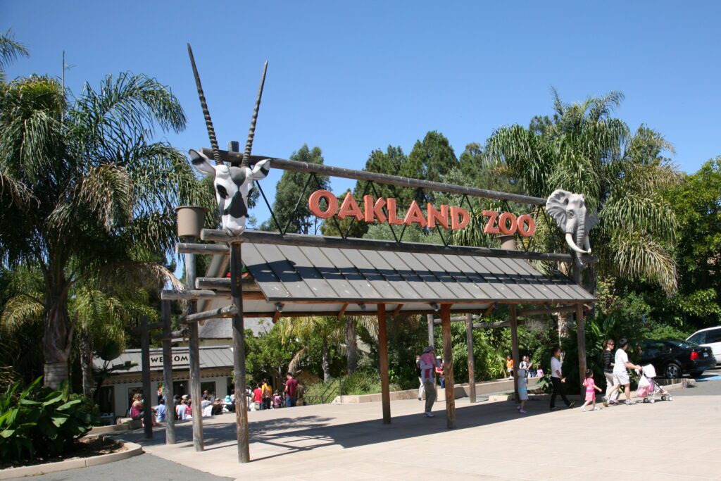 Oakland Zoo Misinformation on Domestic Ferrets
