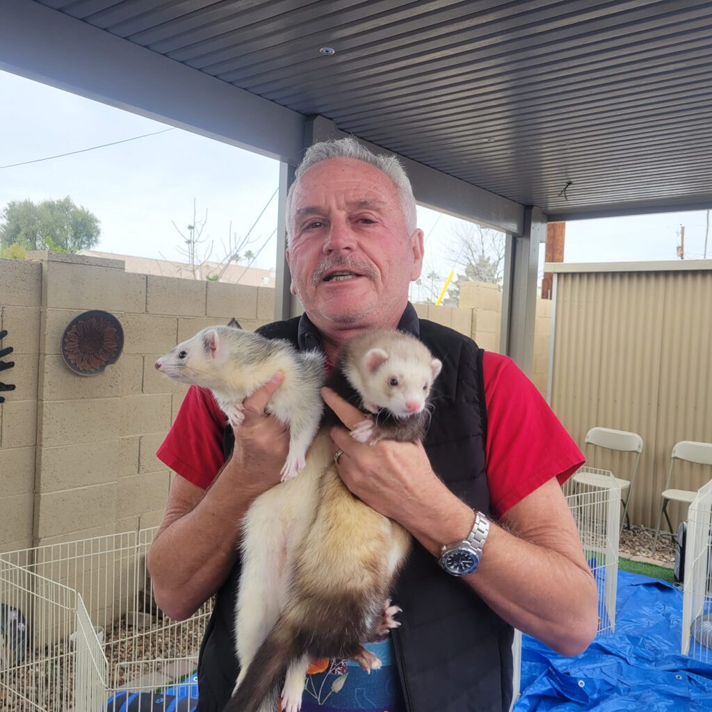 ChatGPT blog says ferrets legalized in California in 2018
