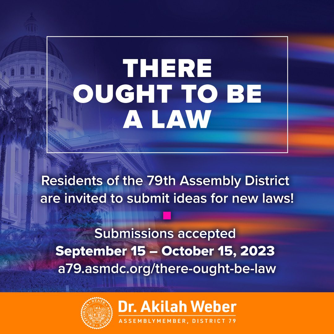 Assemblywoman Akilah Weber's "There ought to be a law."