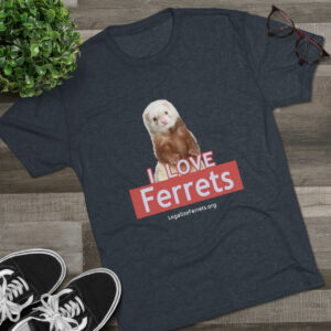 Unisex Tri-Blend Crew Tee