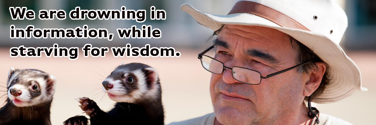 Unmasking Ferretgate: The California Conspiracy