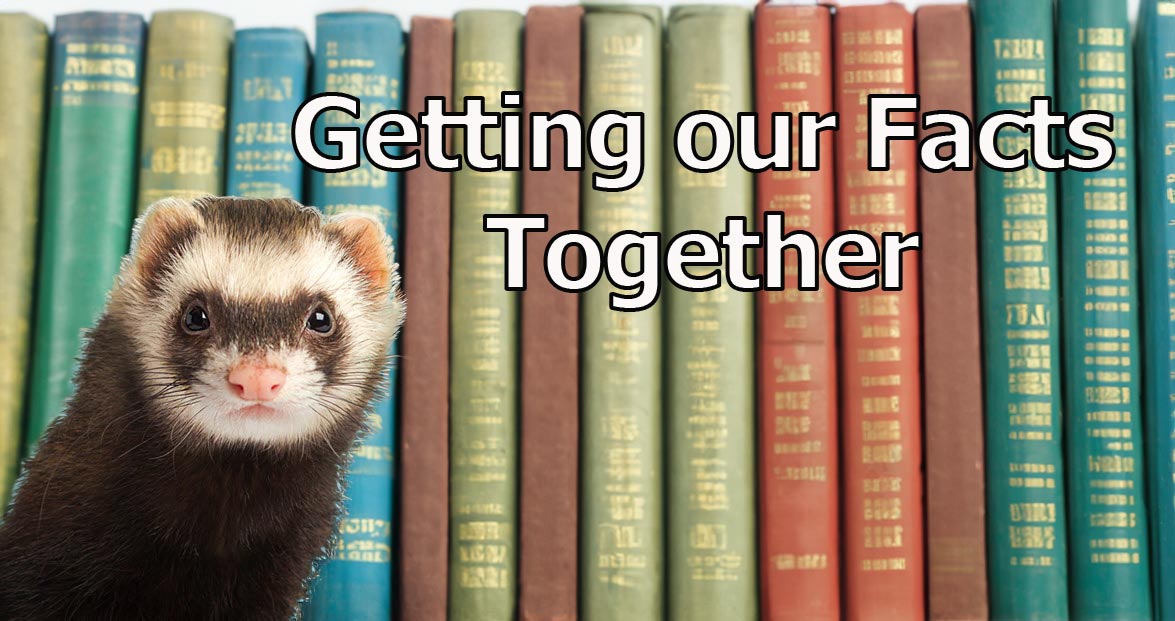 3 things I'd like to know before the ferret legalization lawsuit goes to court
