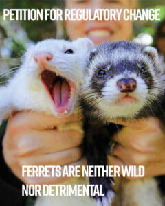 Petition Cover