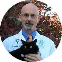 Dr Rene Gandolfi