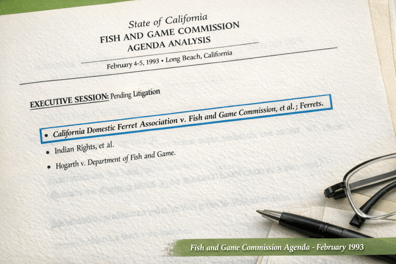 1993 California Fish and Game Commission agenda analysis highlighting pending litigation involving domestic ferrets.