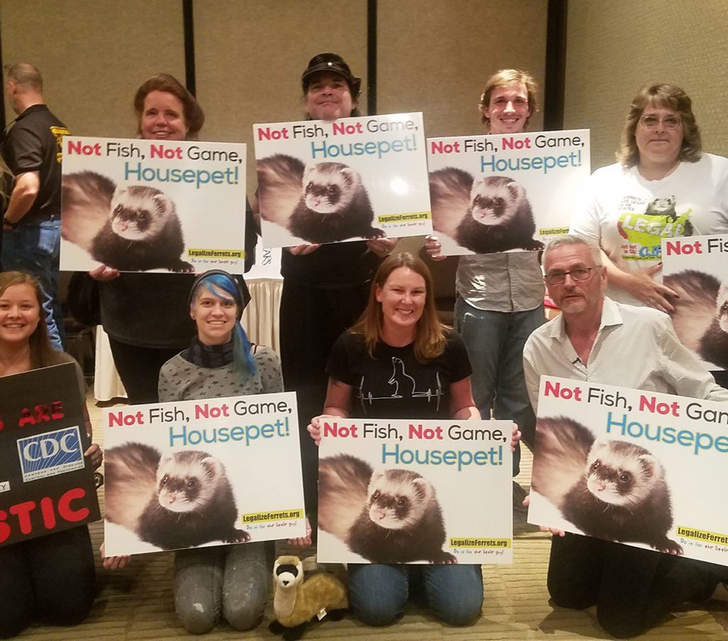 California Fish and Game Commission public meeting where ferret legalization and CEQA requirements were discussed, March 2011